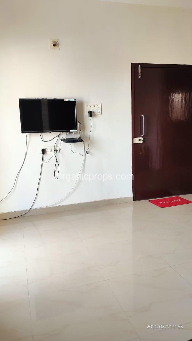 WhatsApp Image 2023-10-26 at 120231026172141219.jpeg